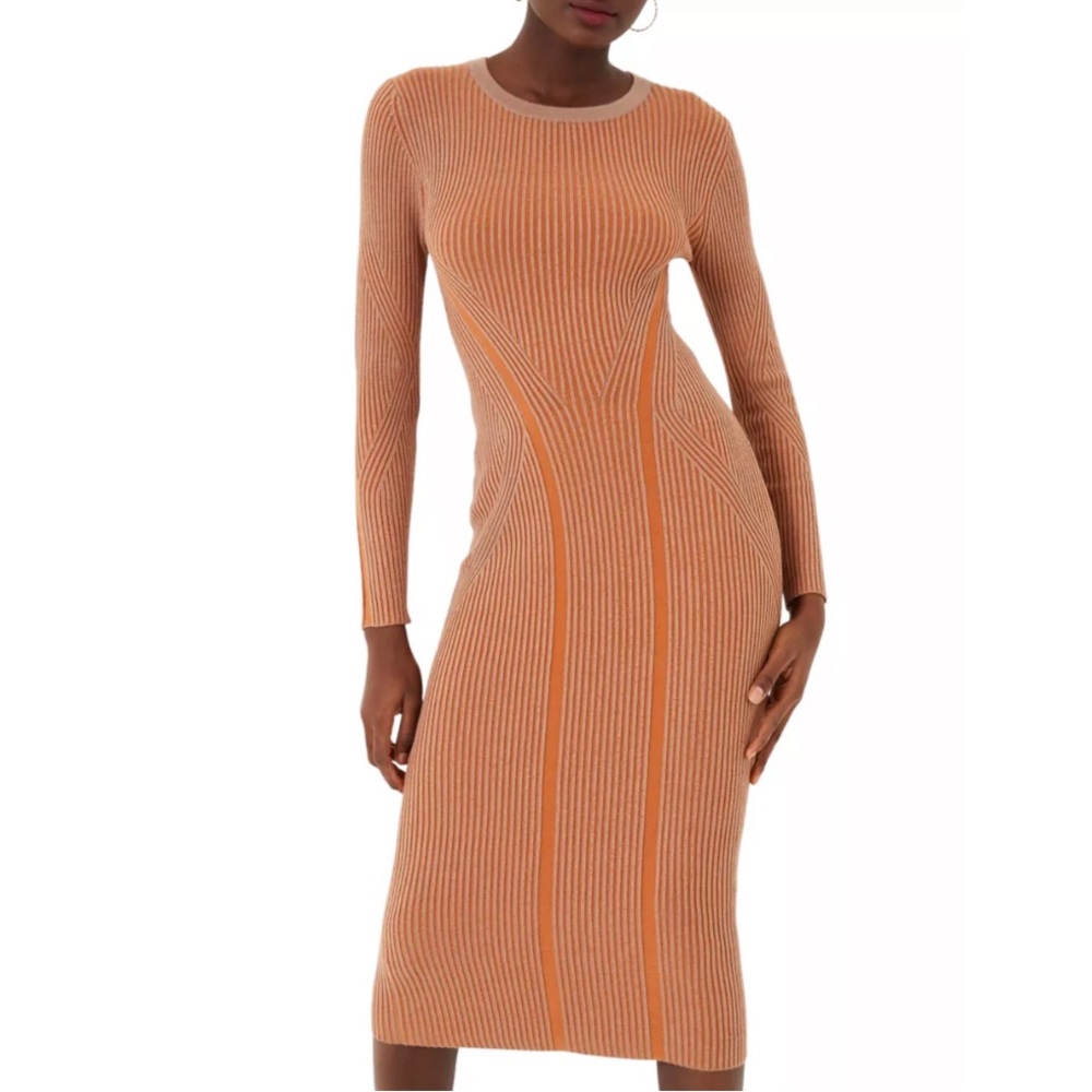 French Connection Simona Ribbed Midi Bodycon Dress Knit Size 4 Fall Burnt Orange